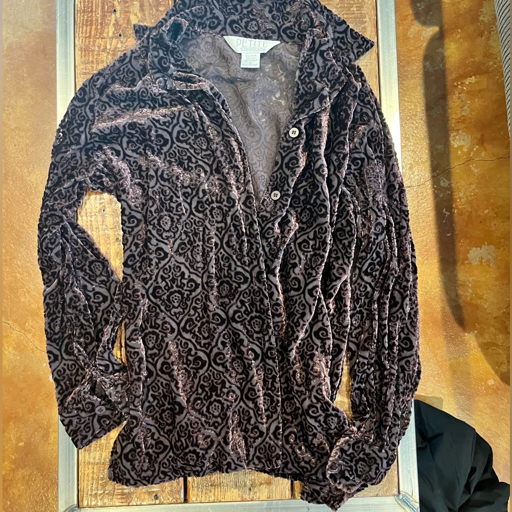Silk Velvet Burnout Blouse